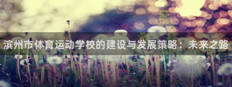 yy易游官方正版app娱乐是那个系列的台子：滨州市体育运动学