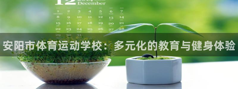 海南yy易游官网下载发展怎么样：安阳市体育运动学校：多元化的