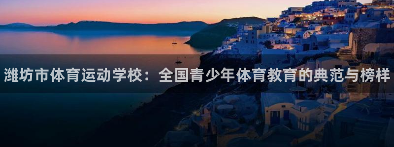 yy易游官网下载平台注册流程视频：潍坊市体育运动学校