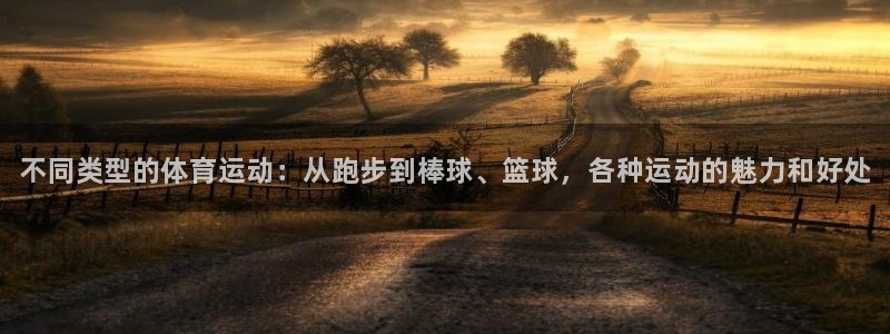海南yy易游官网下载：不同类型的体育运动：从跑步到棒