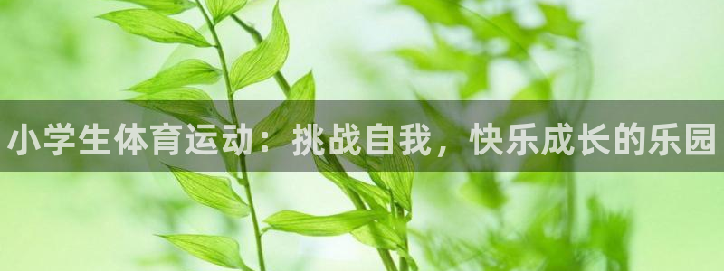 yy易游官方正版app科技：小学生体育运动：挑战自我