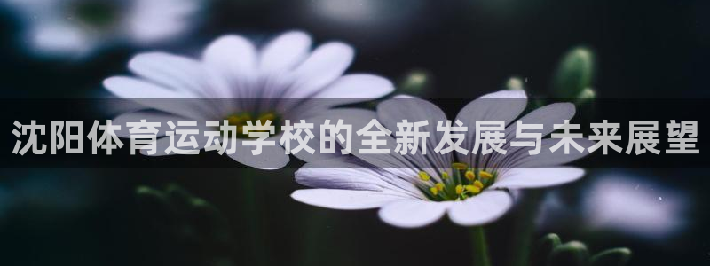 yy易游官网下载招商电话号码是多少：沈阳体育运动学校