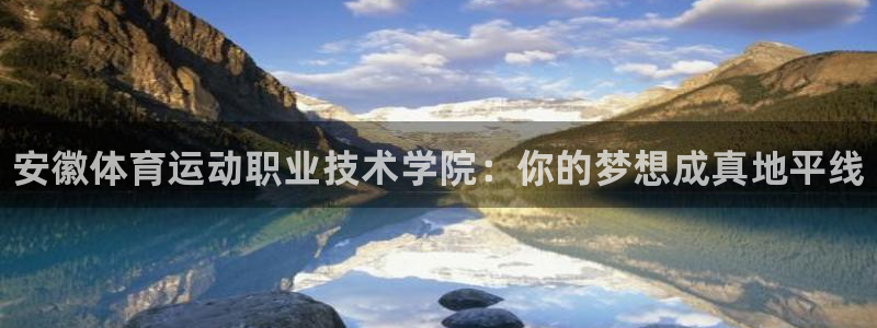 yy易游官网下载平台是正规平台吗：安徽体育运动职业技