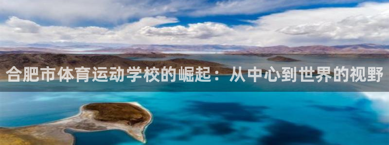 yy易游官方正版app集团：合肥市体育运动学校的崛起：从中心