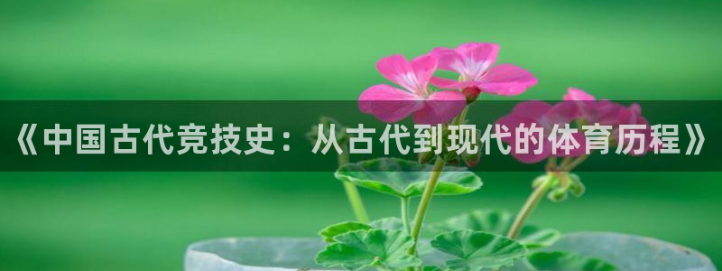 yy易游官方正版app官方