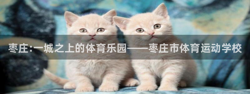 yy易游官方正版app集团简介：枣庄:一城之上的体育乐园——