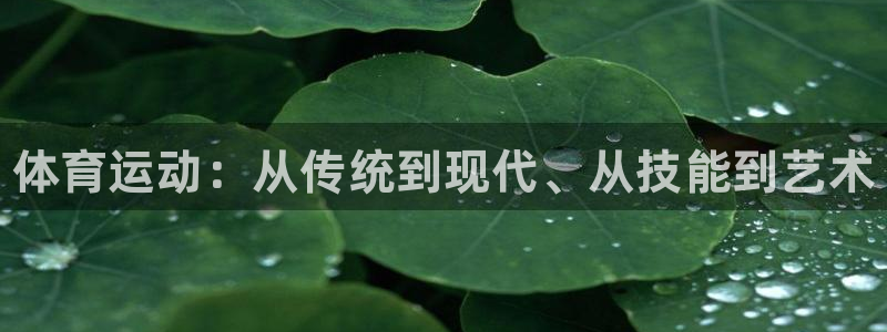 yy易游官网下载招商电话地址：体育运动：从传统到现代、从技能