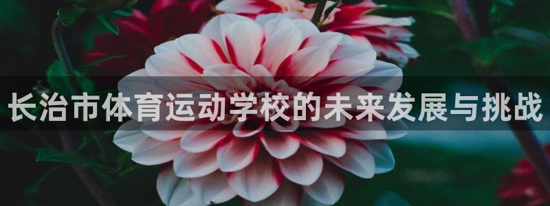 yy易游官方正版app娱乐平台：长治市体育运动学校的