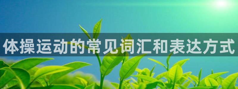yy易游官网下载招商电话号码是多少号