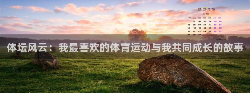 yy易游官网下载招商电话是多少：体坛风云：我最喜欢的体育运动
