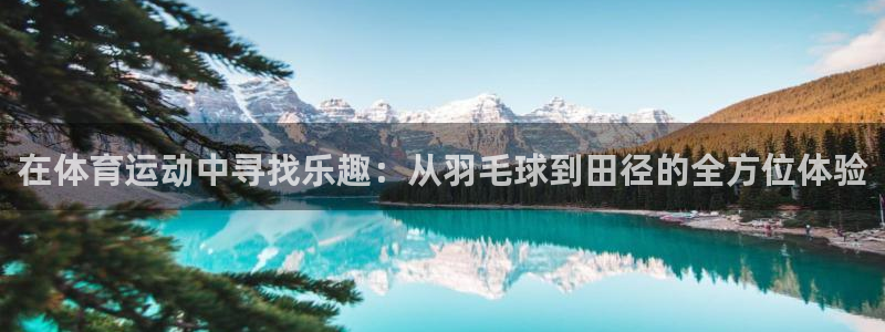 yy易游官网下载联系电话：在体育运动中寻找乐趣：从羽毛球到田