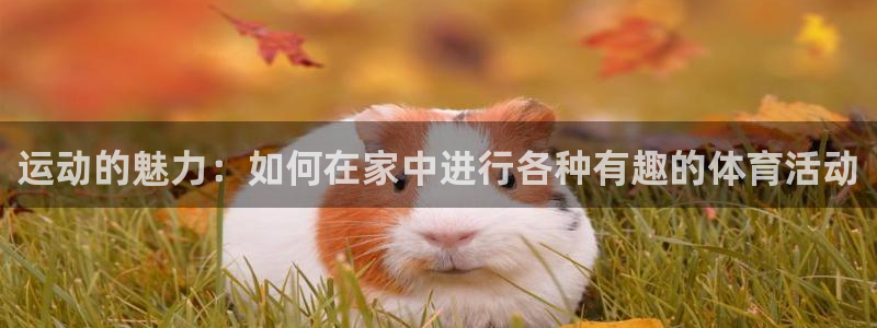 yy易游官网下载联系电话：运动的魅力：如何在家中进行各种有趣