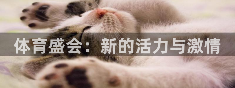 yy易游官网下载平台注册流程图：体育盛会：新的活力与激情