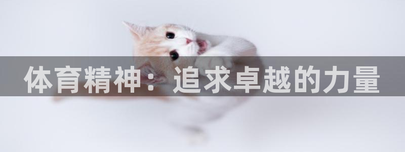 yy易游官网下载招商电话地址是多少：体育精神：追求卓越的力量