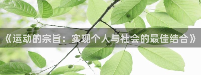 yy易游官方正版app代理：《运动的宗旨：实现个人与社会的最