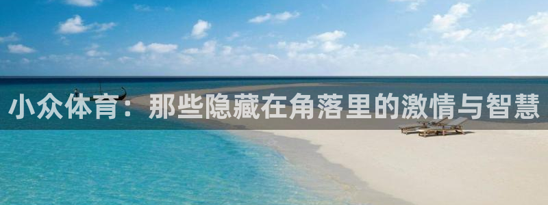  yy易游体育平台：小众体育：那些隐藏在角落里的激情与智慧