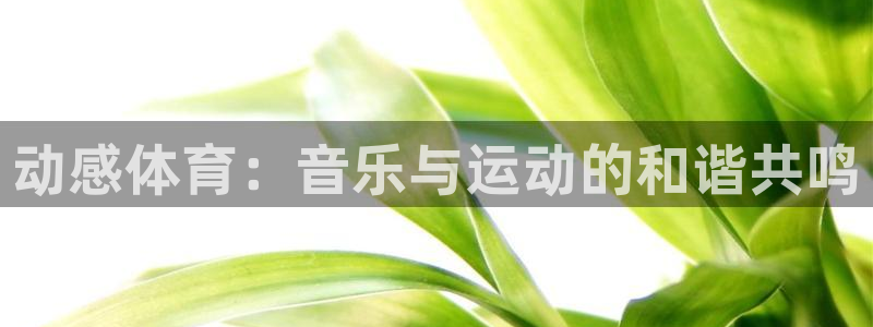  yy易游app最新版本更新内容分享：动感体育：音乐与运动的和