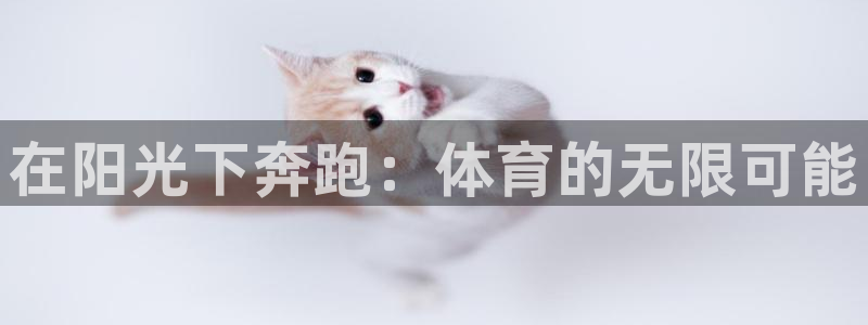 yy易游体育怎么样知乎：在阳光下奔跑：体育的无限可能