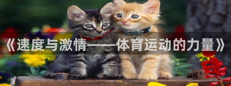 yy易游体育平台能提现吗：《速度与激