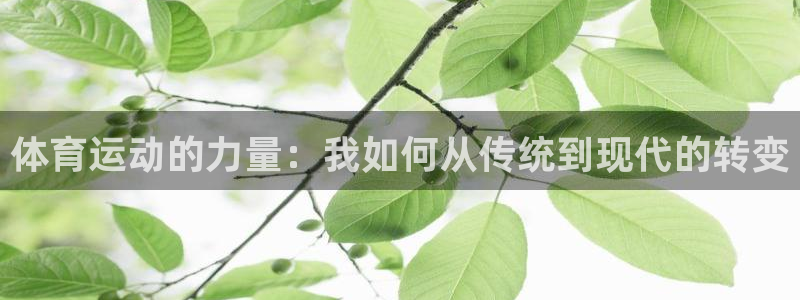 yy易游体育：体育运动的力量：我如何从传统到现代的转变
