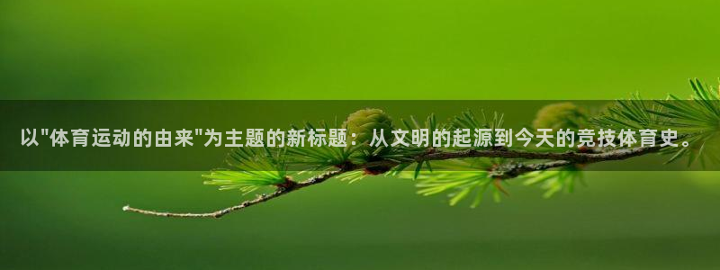 yy易游体育怎么样：以\