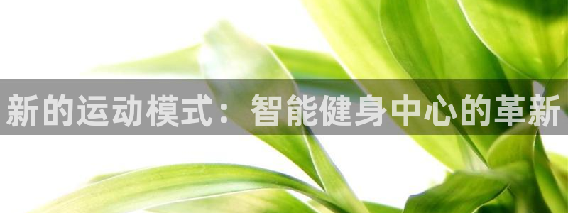 yy易游体育平台：新的运动模式：智能健身中心的革新